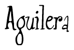 The image is of the word Aguilera stylized in a cursive script.