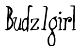 The image contains the word 'Budz1girl' written in a cursive, stylized font.
