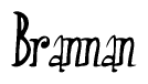 The image contains the word 'Brannan' written in a cursive, stylized font.