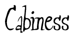 The image contains the word 'Cabiness' written in a cursive, stylized font.