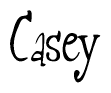 The image is a stylized text or script that reads 'Casey' in a cursive or calligraphic font.
