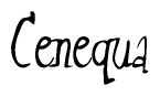 The image is of the word Cenequa stylized in a cursive script.