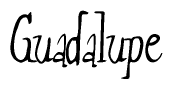 The image contains the word 'Guadalupe' written in a cursive, stylized font.