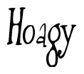 The image is of the word Hoagy stylized in a cursive script.