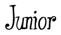 The image is a stylized text or script that reads 'Junior' in a cursive or calligraphic font.