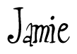 The image contains the word 'Jamie' written in a cursive, stylized font.