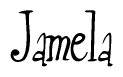 The image contains the word 'Jamela' written in a cursive, stylized font.