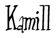 The image is of the word Kamill stylized in a cursive script.