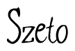 The image is of the word Szeto stylized in a cursive script.