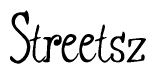 The image is a stylized text or script that reads 'Streetsz' in a cursive or calligraphic font.