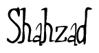 The image is a stylized text or script that reads 'Shahzad' in a cursive or calligraphic font.
