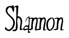 The image is of the word Shannon stylized in a cursive script.