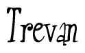 The image is of the word Trevan stylized in a cursive script.