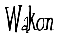 The image contains the word 'Wakon' written in a cursive, stylized font.