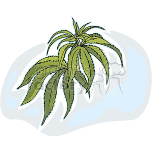 clipart - Marijuana plant.