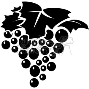 clipart - black and white grapes.