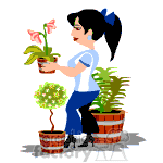 clipart - Female checking her plants.