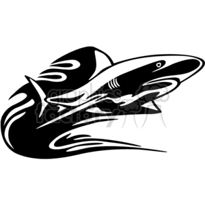 black and white  flaming shark 