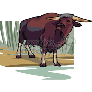 The image shows a bull or a cow with two horns on its head, standing on brown ground, with grass or bushes in the background