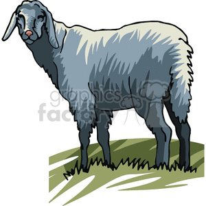 Lamb clipart. Commercial use image # 129258