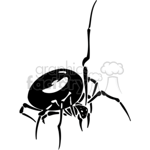 Big black widow spider clipart.