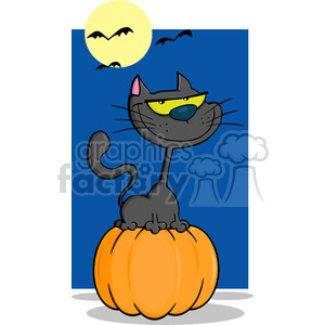 6621 Royalty Free Clip Art Halloween Cat On Pumpkin In The Night Cartoon Illustration clipart.