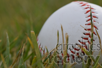 sports 300dpi RG ball baseball grass summer spring