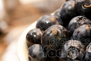 bunch of blueberries clipart.