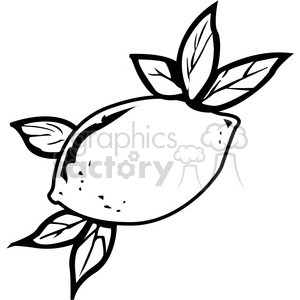 black and white lemon clipart. Commercial use image # 141821