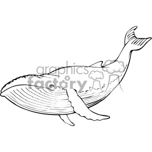 black and white humpback whale clipart. Commercial use image # 132288