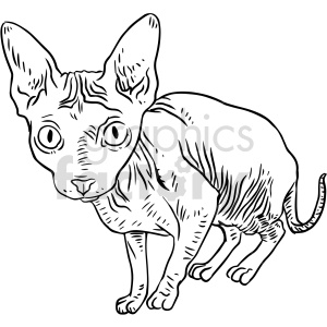 black and white hairless cat clipart clipart. Royalty-free image # 416861