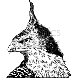 black and white hawk vector clipart .