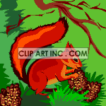 squirrel squirrels tree trees pine cones  Animations 2D Animals 