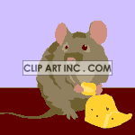 animated rat eating a piece of cheese clipart.