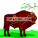   Buffalo buffalos wild animal animals Animations 2D Animals 