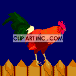   rooster roosters fence bird birds  animals032aa.gif Animations 2D Animals 