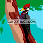 woodpecker01