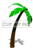 Animated palm tree background. Commercial use background # 123845