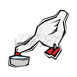 White goose drinking from water dish clipart.
