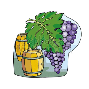 Grapes displayed against barrels of wine