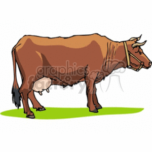   cow cattle steer brown udders animal cows  cow3.gif Clip Art Animals 