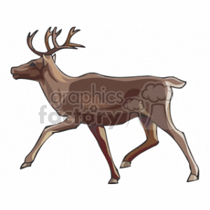   deer antlers brown running animal walking  deer3.gif Clip Art Animals 