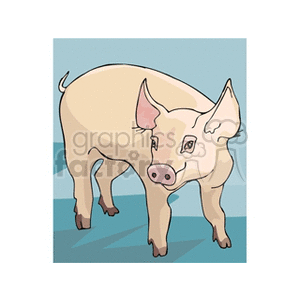   pig animal pink cute farms pork pigs  piggy.gif Clip Art Animals 