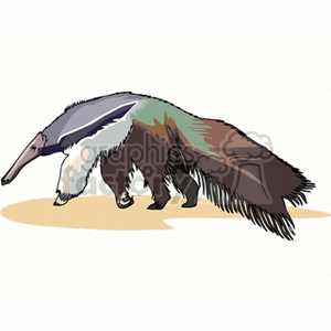  white black tail animal sloth aardvark aardvarks sloths animals tamanoirs Clip Art Animals 