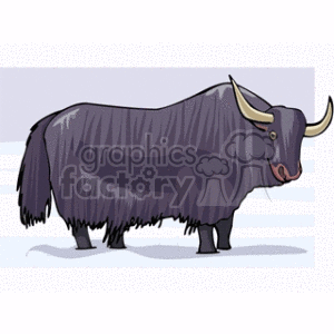   yak black cow bull stag cows bulls yaks  yak.gif Clip Art Animals 