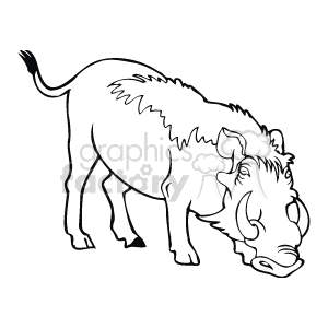 The image depicts a cartoon of a wild boar with its nose to the ground and its tail raised