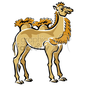  camel camels   Anmls009C Clip Art Animals 