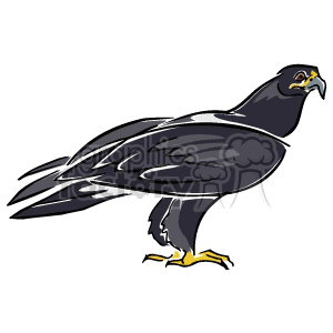 Hawk clipart. Commercial use image # 129399