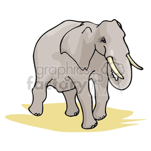 Running elephant with tusks clipart. Commercial use image # 129643
