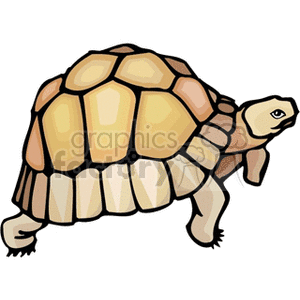 Full body profile of box turtle clipart. Commercial use image # 129932